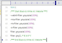 การทำรูปภาพและตัวหนังสือเป็นสีขาว-ดำทั้งเว็บไซต์ สำหรับเว็บมาสเตอร์