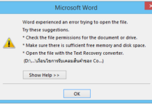 วิธีแก้ Word experienced an error trying to open the file