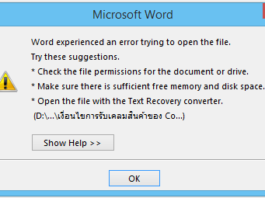 วิธีแก้ Word experienced an error trying to open the file